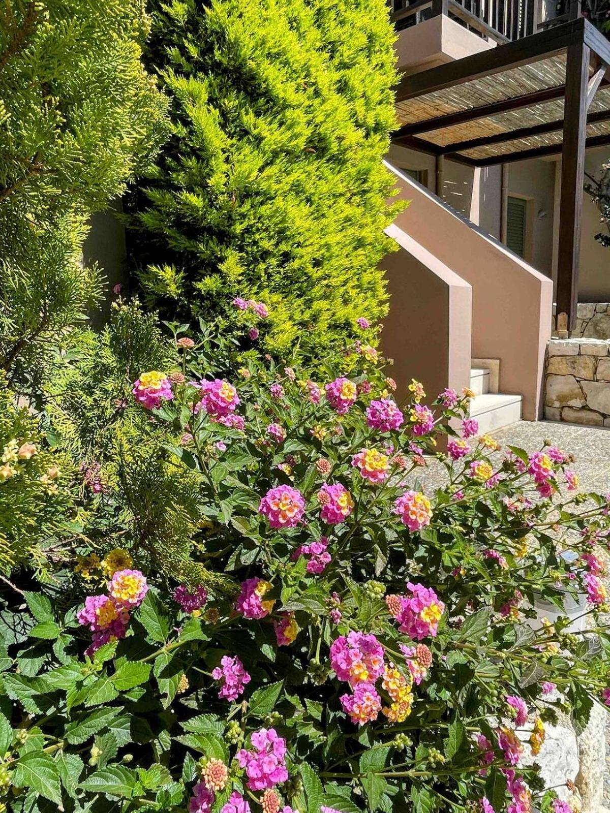 Annamaria Sea Side View Studio- 25M From The Beac 플라키아스 외부 사진